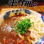 カレーうどん カレーにマッチする麺の特徴ついて