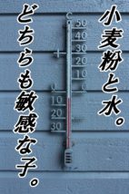 温度による製麺方法の違い