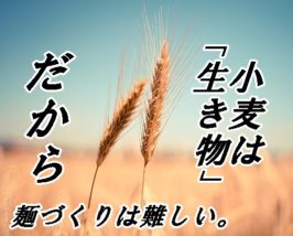 麺づくりが難しい理由