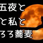 十五夜の由来とオススメの麺料理について