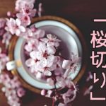 春限定 お花見シーズンに食べたい桜切りそば