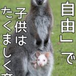 お正月に試したい「子供をたくましく育てる麺料理」とは？