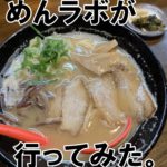 とんこつラーメンの「ど男」の素直な感想